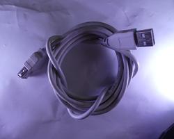 USB Extension Cord Close Up White Background.JPG